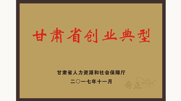 甘肅省創(chuàng  )業(yè)典型