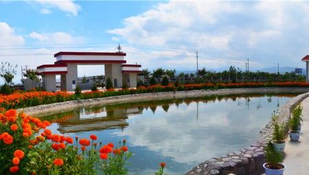 奇正中藥廠(chǎng)區